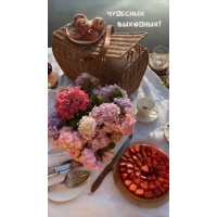 �������� ��������!