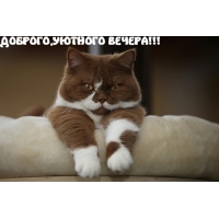 Доброго, уютного вечера!