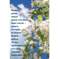 Прожить жизнь можно двумя способами.