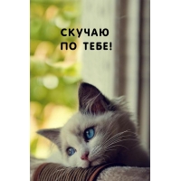 Скучаю по тебе!