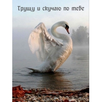 Грущу и скучаю по тебе