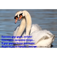 Берегите друг друга, любите! Понимайте, прощайте всегда...