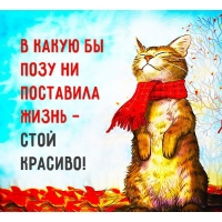 Советы дня с юмором