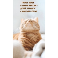 ������ ���� � ����� ������ - ����� �������! � ������ �����!