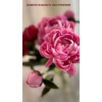 Замечательного настроения!