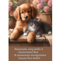 �������� ���� ���� � ���������� ���