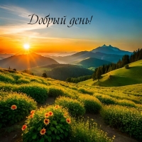 ������ ����!