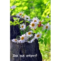 Дня вам доброго!