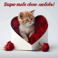 ���� ���� ���� ������!