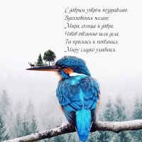 � ������ ����� ����������, ����������� �����