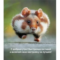 � ������ ����! ������� � ������� ���� ��������� �� ������!