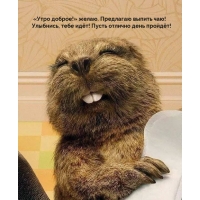 ����� ������!� �����. ��������� ������ ���!