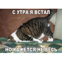 С утра я встал, но кажется не весь