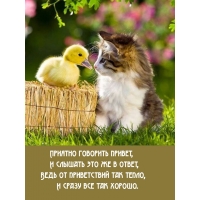 ������� �������� ������, � ������� ��� �� � �����