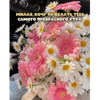 Милая, хочу пожелать тебе самого прекрасного утра!