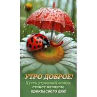 Пусть утренний дождь станет началом прекрасного дня! Утро доброе!