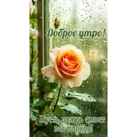 Доброе утро! Пусть дождь смоет все плохое!