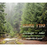 Доброе утро! Дождь — это природная симфония, создающая уют!