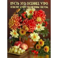 Солнечного света