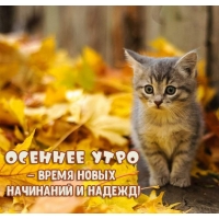 Осеннее утро — время новых начинаний и надежд!