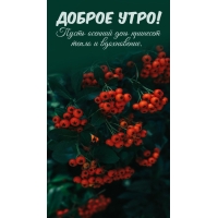 ����� ������� ���� �������� ����� � �����������.  