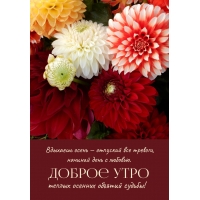 Вдыхаешь осень — отпускай все тревоги