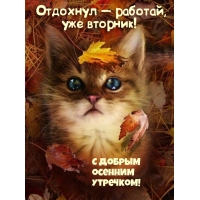 Отдохнул — работай, уже вторник!