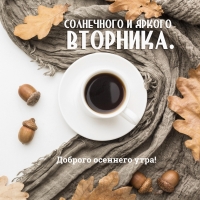 Солнечного и яркого вторника.