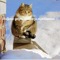 ������� ����, ����������������� ))