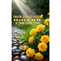 ����� ����� ������ ������ ���� � � ���� ���� ����!