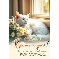 Хорошего дня! Пусть он будет тёплым, как солнце.