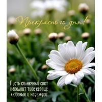 Пусть солнечный свет наполнит твое сердце любовью и надеждой.