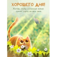 Желаю, чтобы солнечный зайчик принес удачу на весь день