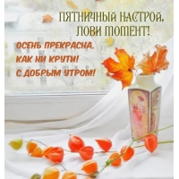 Пятничный настрой, лови момент!