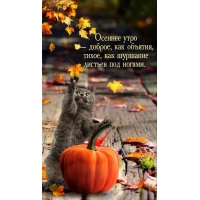 Осеннее утро — доброе, как объятия