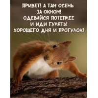 Хорошего дня и прогулок!