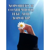 Хорошего и солнечного тебе дня