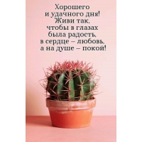  ���� ���, ����� � ������ ���� �������, � ������ � ������, � �� ���� � �����!