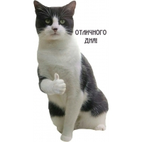 Отличного дня