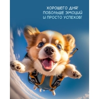 Побольше эмоций и просто успехов!