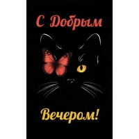 Добрейшего вечерка тебе