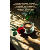 Отдохни, наслаждайся мгновениями и заряди свои силы для нового дня.
