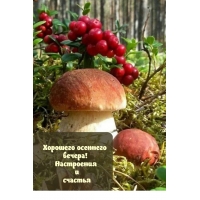 Отличного настроения в этот осенний вечер