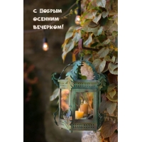 Желаю от всего сердца доброго осеннего вечера