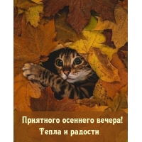 Тепла и радости этим добрым вечером осени