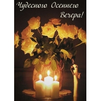 Прекрасного вечера желаю