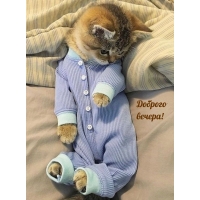 Прекрасного вечерочка