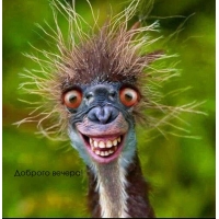 Позитивного тебе вечера