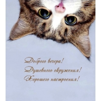 Душевного окружения! Хорошего настроения!