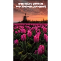 Хорошего настроения и доброго вечера